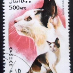 Selo postal do Afeganistão de 1996  Japanese Bobtail NCC