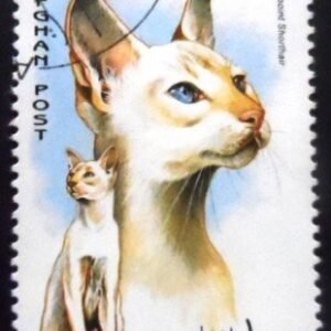 Selo postal do Afeganistão de 1996 Colourpoint Shorthair NCC