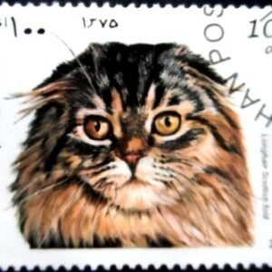 Selo postal do Afeganistão de 1997 Scottish Fold NCC