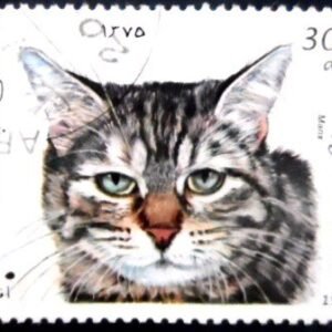 Selo postal do Afeganistão de 1997 Manx NCC