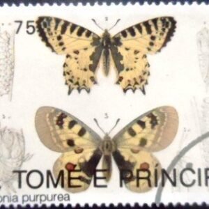 Selo postal de S. Tomé e Príncipe de 1992 Eastern Festoon and Small Apollo NCC