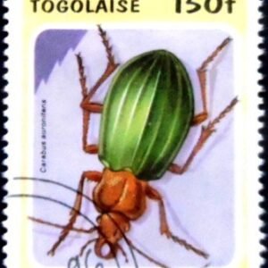 Selo postal do Togo de 1996 Golden Ground Beetle