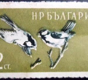 Selo postal da Bulgária de 1959 Great Tit NCC