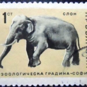 Selo postal da Bulgária de 1966 Asian Elephant U