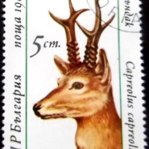 Selo postal da Bulgária de 1987 Western Roe Deer NCC