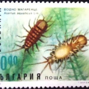 Selo postal da Bulgária de 1996 Waterlouse N