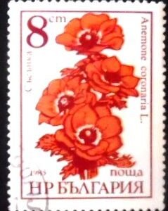 Selo postal da Bulgária de 1986 Poppy Anemone NCC