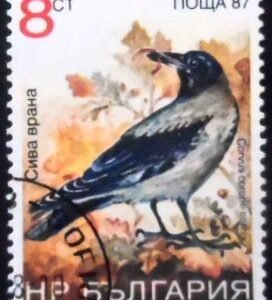 Selo postal da Bulgária de 1988 Hooded Crow MCC