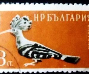 Selo postal da Bulgária de 1959 Eurasian Hoopoe U