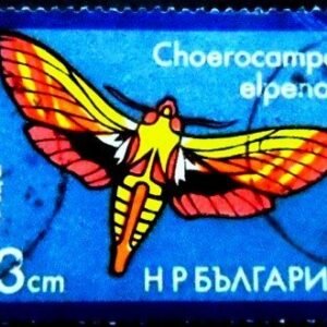 Selo postal da Bulgária de 1975 Elephant Hawk Moth U
