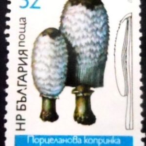Selo ´postal da Bulgária de 1987 Coprinus comatus M