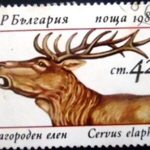 Selo postal da Bulgária de 1987 Red Deer U
