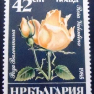 Selo postal da Bulgária de 1985 Rosa Valentina M