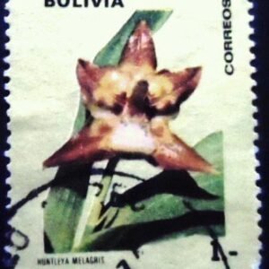 Selo postal da Bolívia de 1974 Huntleya meleagris U