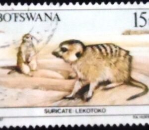 Selo postal de Botswana de 1987 Meerkat U