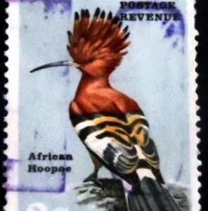 Selo postal de Botswana de 1967 African Hoopoe U