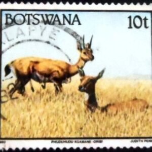Selo postal de Botswana de 1992 Southern Oribi U