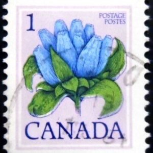Selo postal do Canadá de 1977 Bottle Gentian 1 U sev