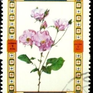 Selo postal Um Al Qiwain Roses 1442 B