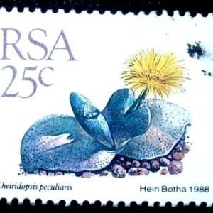 Selo postal da África do Sul de 1988 Cheiridopsis peculiaris