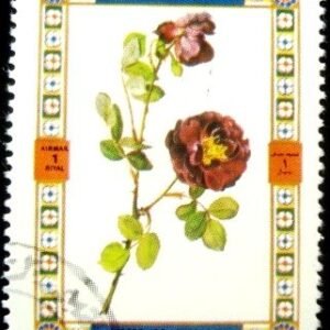Selo postal do Umm Al Qaiwain de 1972 Roses 1437A