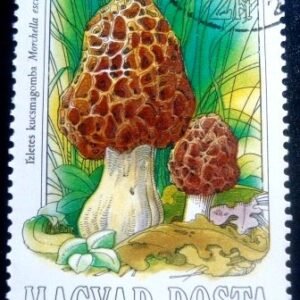 Selo postal da Hungria de 1984 Scotch Bonnet NCC