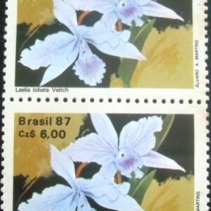 Par de selos comemorativos do Brasil emitidos em 1987 - C 1573 M V