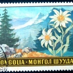 Selo postal da Mongólia de 1969 Leontopodium ochroleucum