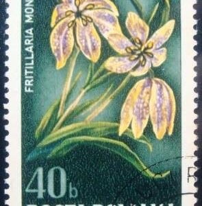Selo postal da Romênia de 1974 Fritillary
