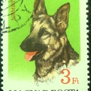 Selo postal da Hungria de 1967 German Shepherd