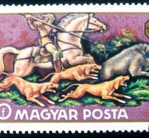 Selo postal da Hungria de 1971 Wild Boar