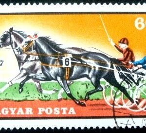Selo postal da Hungria de 1971 Trotting
