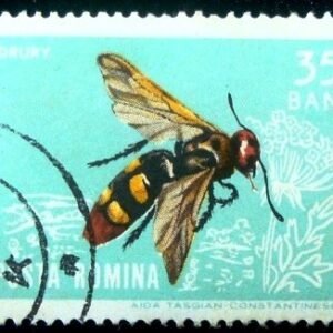 Selo postal da Romênia de 1964 Mammoth Wasp