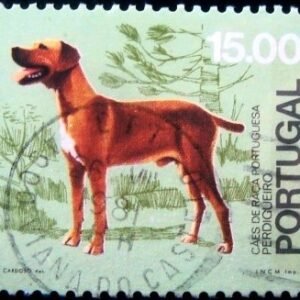 Selo postal de Portugal de 1981 Perdiguero