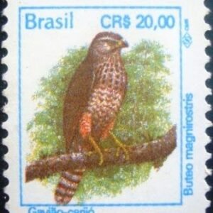 Selo postal regular emitido no Brasil em 1994 - 701 M