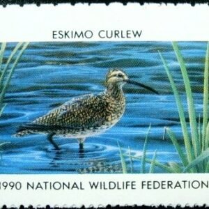 Selo National Wildlife de 1990 Eskimo Curlew