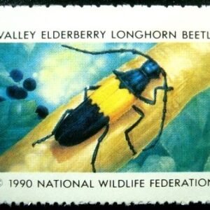 Selo cinderela de 1990 Valley Elderberry Longhorn Beetle