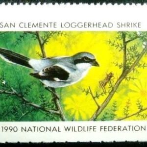 Selo cinderela de 1990 Clemente Loggerhead Shrike