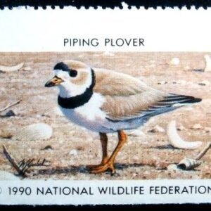 Selo National Wildlife Federation de 1990 Piping Plover