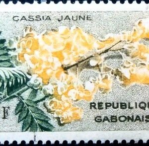Selo postal do Gabão de 1961 Golden Shower Tree 3