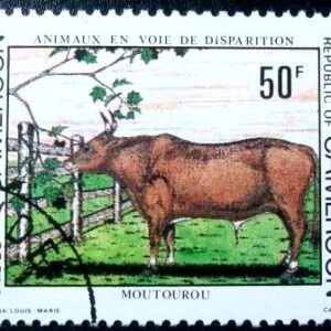 Selo postal de Camarões de 1981 African Forest Buffalo