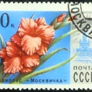 Selo postal da União Soviética de 1978 Gladiolus Moscovite
