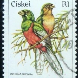 Selo postal do Ciskei de 1981 Narina Trogon