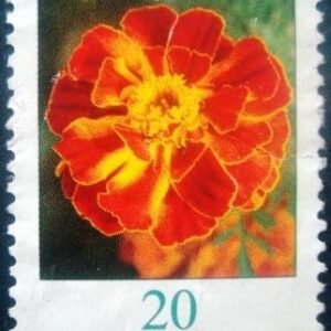Selo postal da Alemanha de 2005 Tagetes erecta - 2296 U