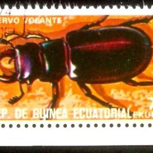 Selo postal de Guinea Equatorial de 1978 Stag Beetle