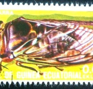 Selo postal de Guinea Equatorial de 1978 Cicada