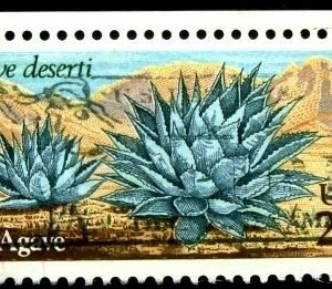 Selo postal dos Estados Unidos de 1981 Desert Plants Agave U