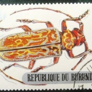 Selo postal do Burundi de 1970 Longhorn Beetle
