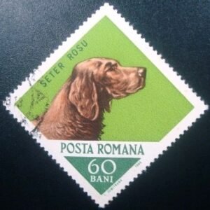 Selo postal da Romênia de 1965 Irish Setter