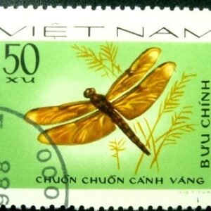 Selo postal do Vietnam de 1977 Fulvous Forest Skimmer